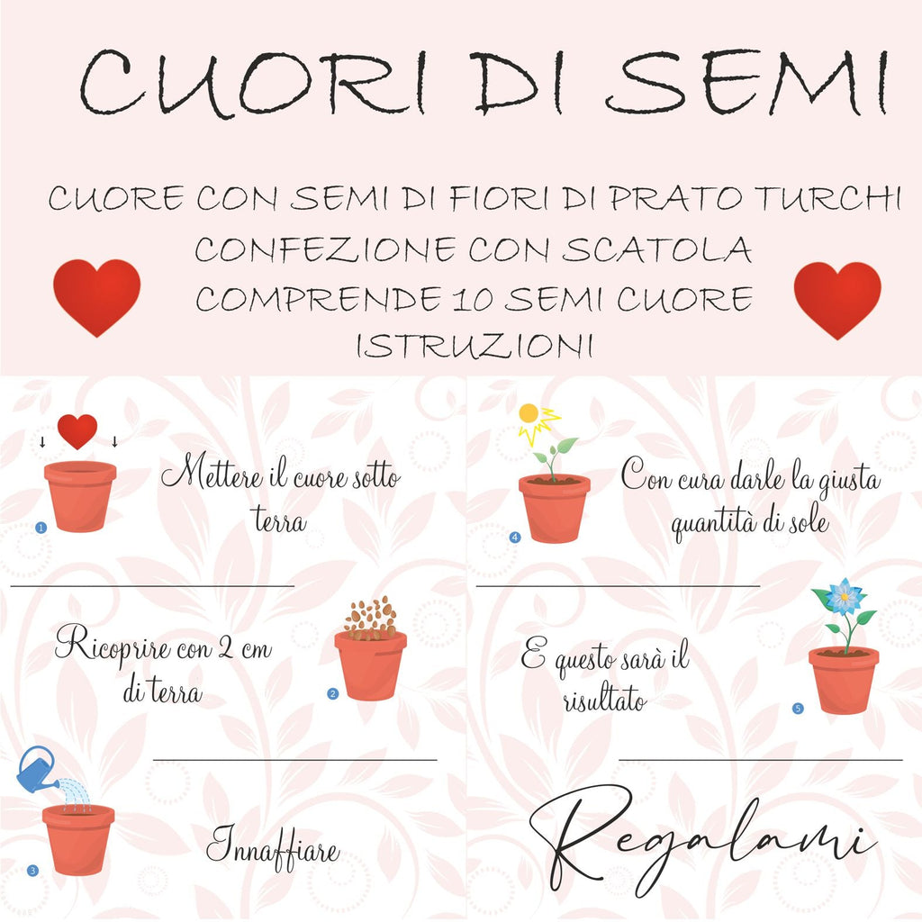 istruzioni bombe di semi